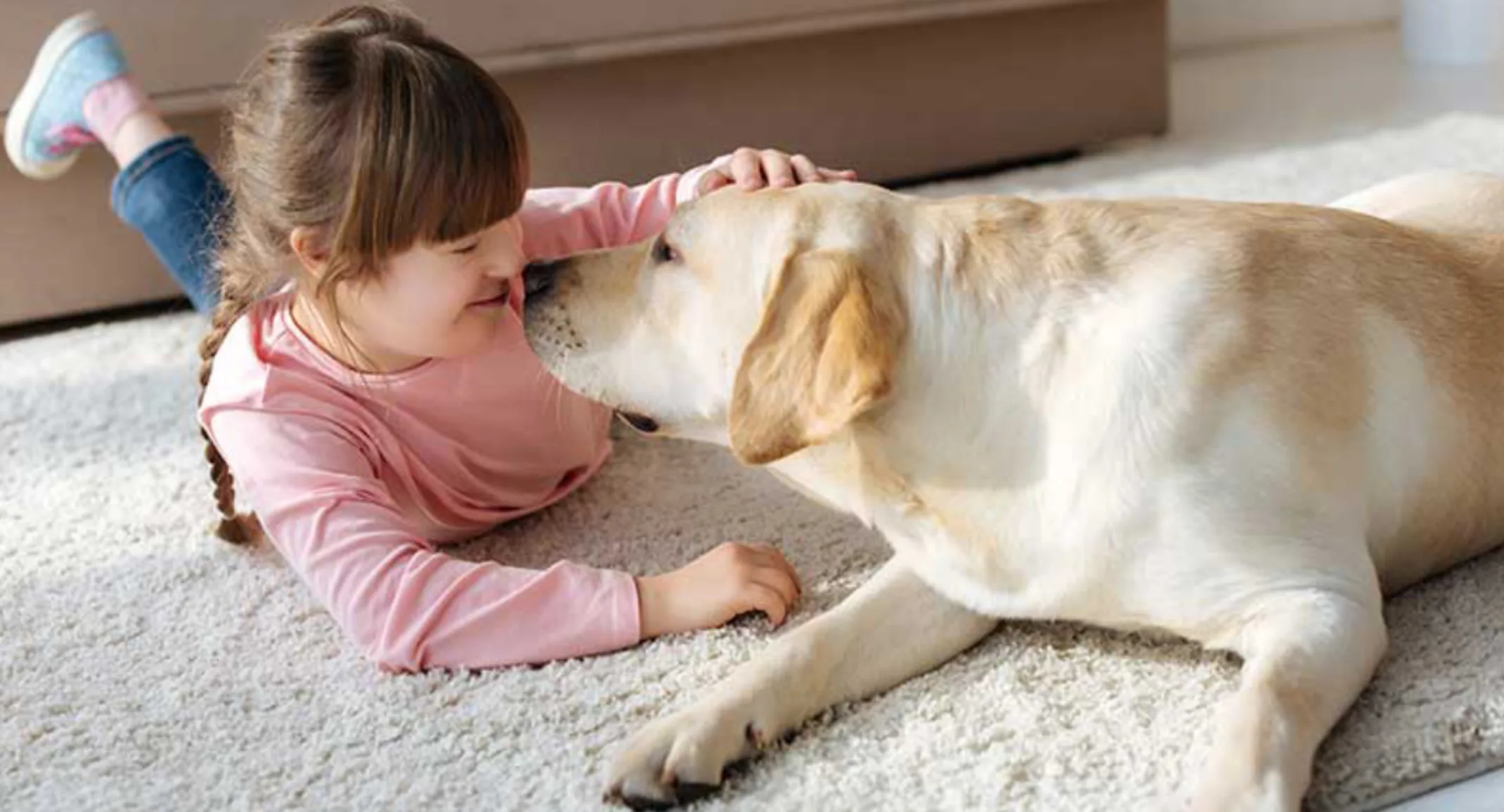 Girl Lying Down Playing with Golden Retriever (Dog)